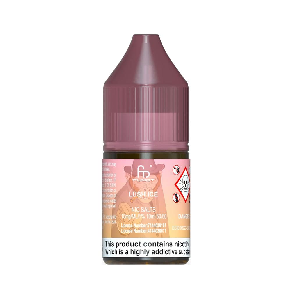Buy R & M Nic Salts 10ml E-Liquid Box of 10 10mg Lush Ice