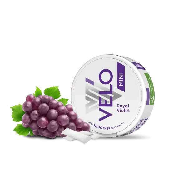 Buy VELO Nicotine Pouches Royal Violet 6mg