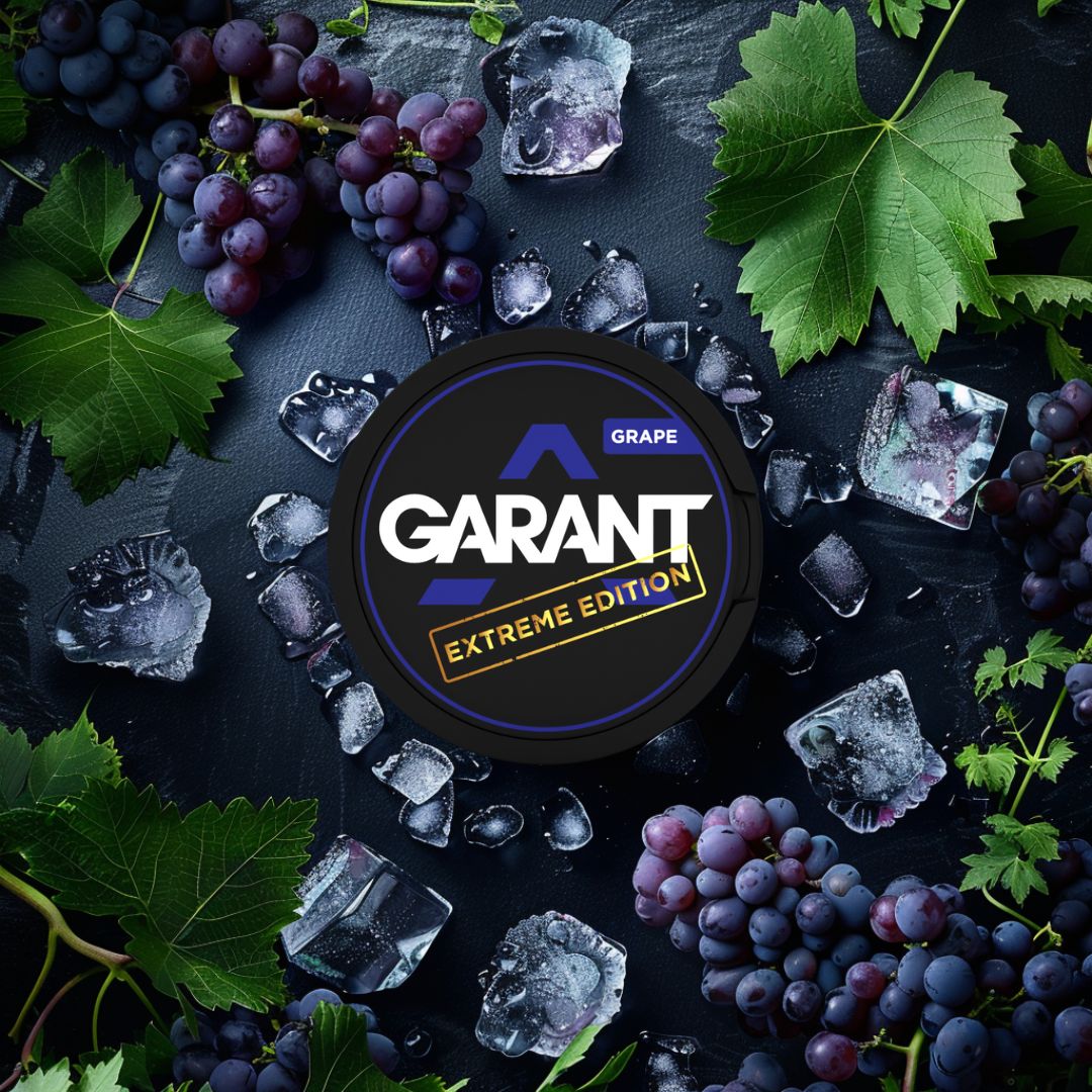 Buy Garant Nicotine Pouches - Pack of 10 Grape