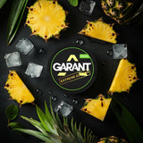 Buy Garant Nicotine Pouches - Pack of 10 Pineapple
