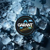 Buy Garant Nicotine Pouches - Pack of 10 Ice Cool