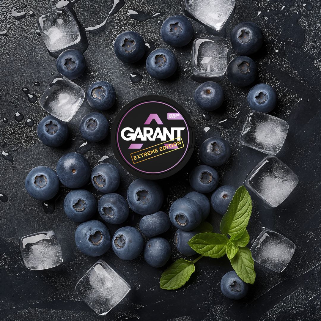 Buy Garant Nicotine Pouches - Pack of 10 Ice Blue Berry