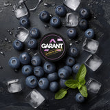 Buy Garant Nicotine Pouches - Pack of 10 Ice Blue Berry